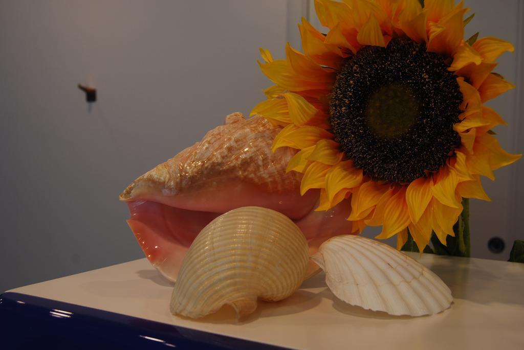 Tortoreto Residence Abruzzo Resort מראה חיצוני תמונה